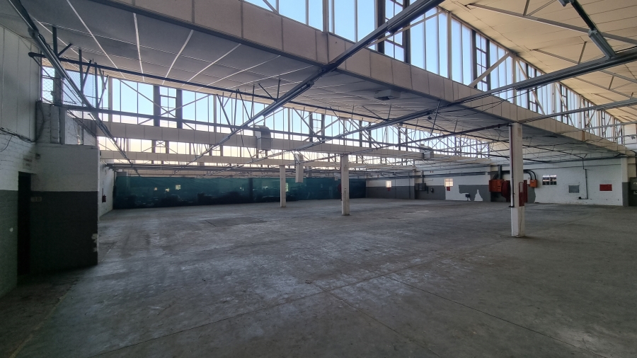 To Let commercial Property for Rent in Parow Industrial Western Cape
